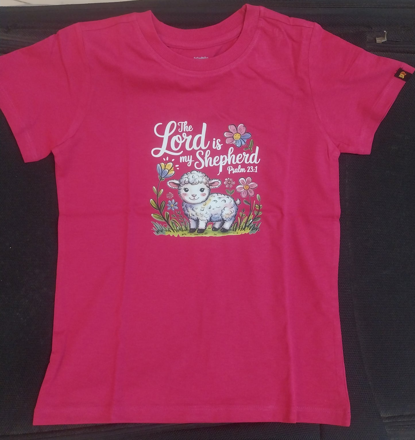 "Wrapped In a Blessing, I am a Child of God"- 100% Organic Cotton Short Sleeves Tees for Children