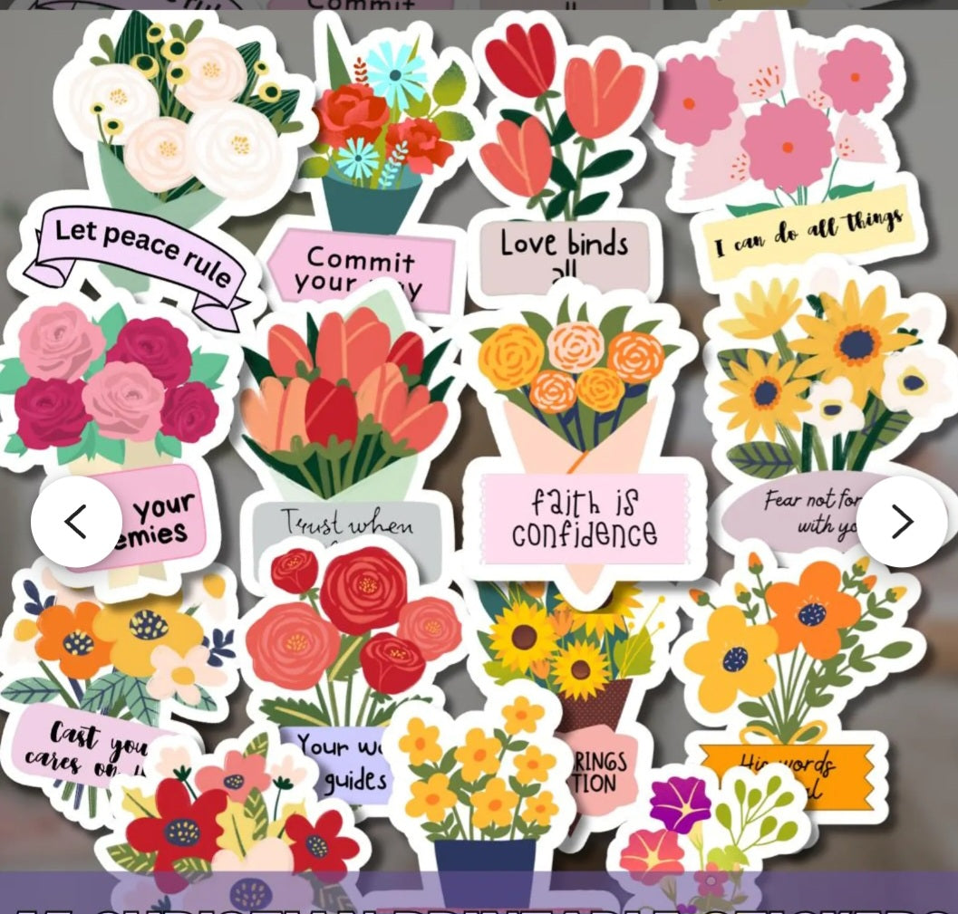 Assorted Fridge Magnets (Savers Pack, a set of 15)